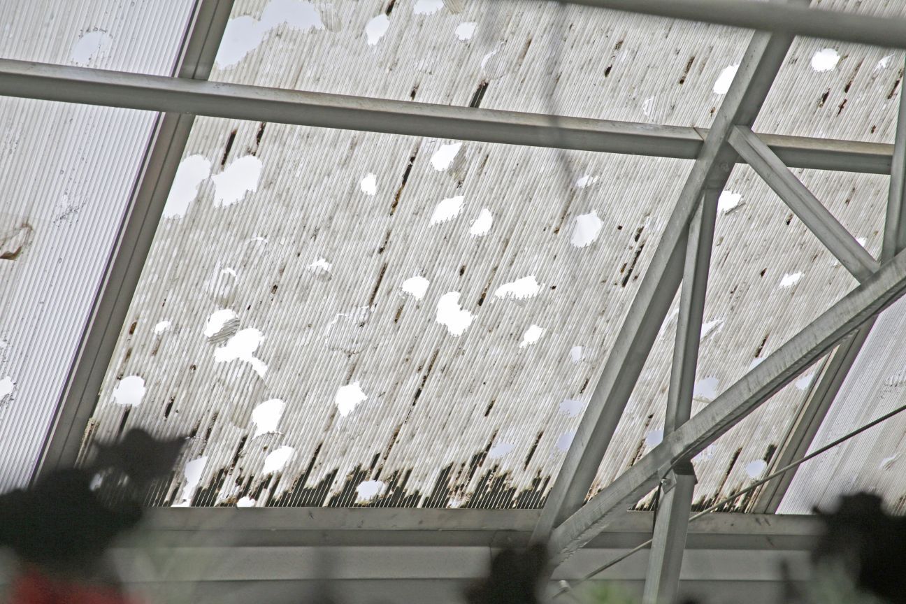 Greenhouse hail damage